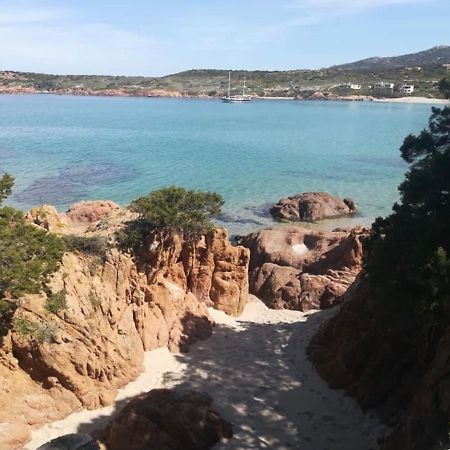 Appartamenti In Villa La Marinedda 罗萨岛 外观 照片