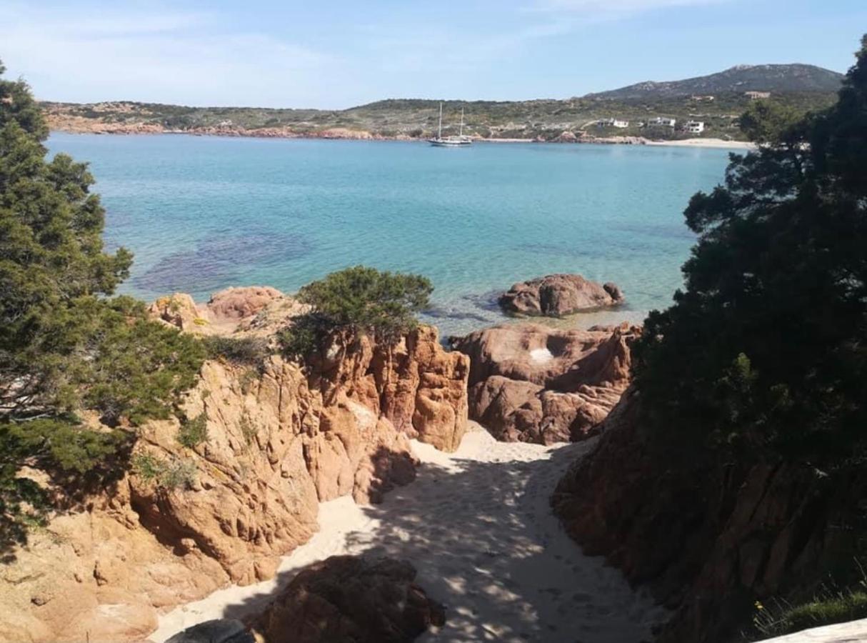 Appartamenti In Villa La Marinedda 罗萨岛 外观 照片