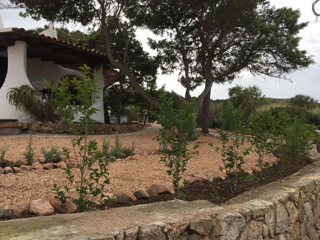 Appartamenti In Villa La Marinedda 罗萨岛 外观 照片