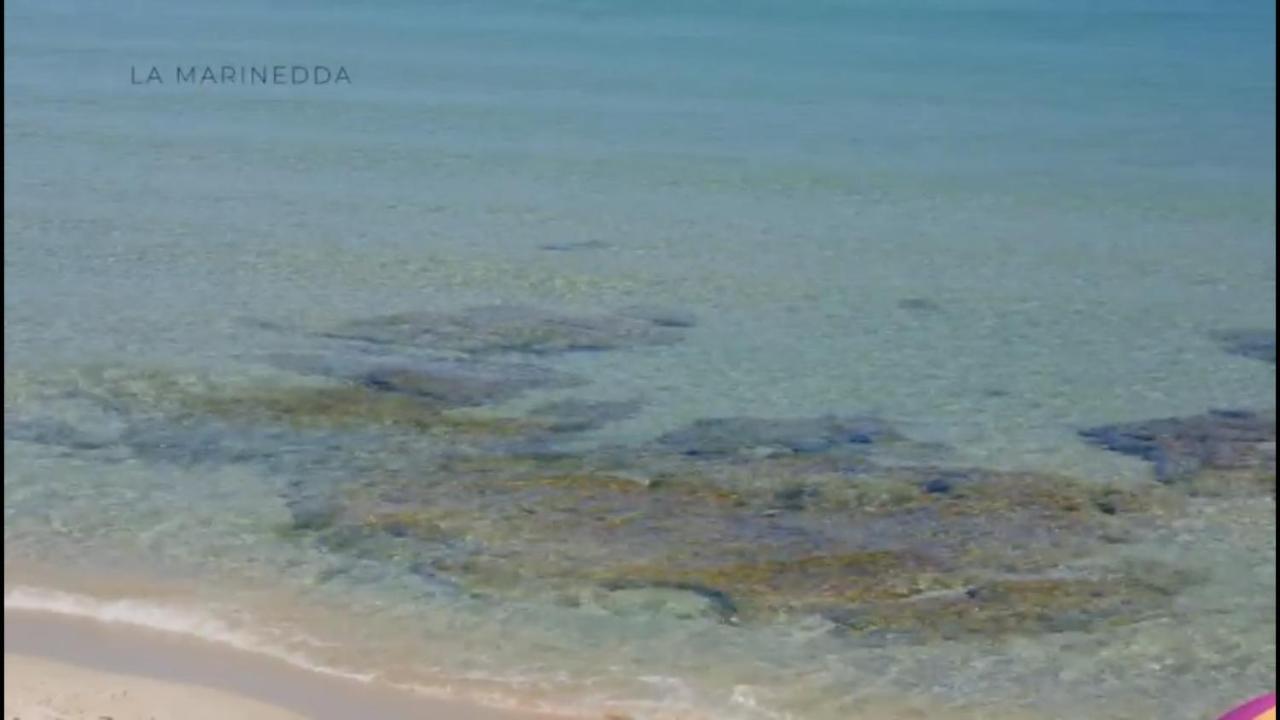 Appartamenti In Villa La Marinedda 罗萨岛 外观 照片